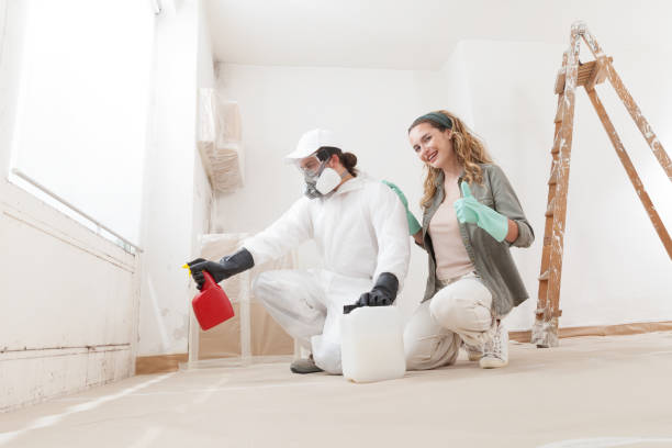 Environmental Consulting for Mold Prevention in Thornton, IL